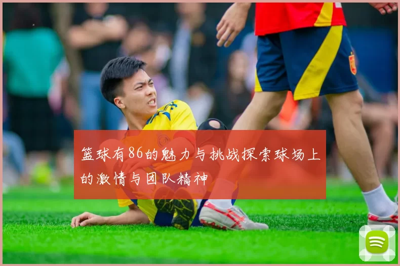 篮球有86的魅力与挑战探索球场上的激情与团队精神