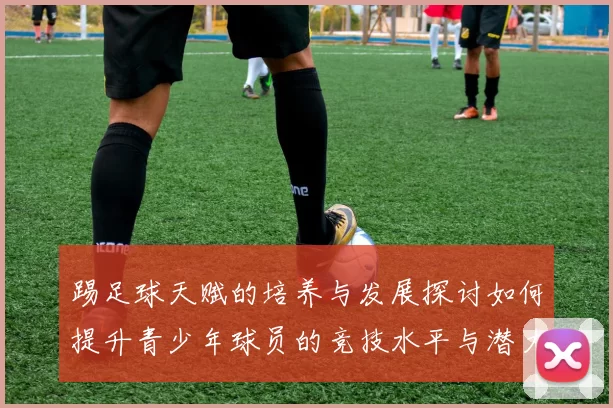 踢足球天赋的培养与发展探讨如何提升青少年球员的竞技水平与潜力