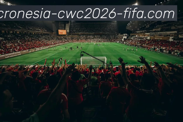 买球中国网站APP 高清赛事图